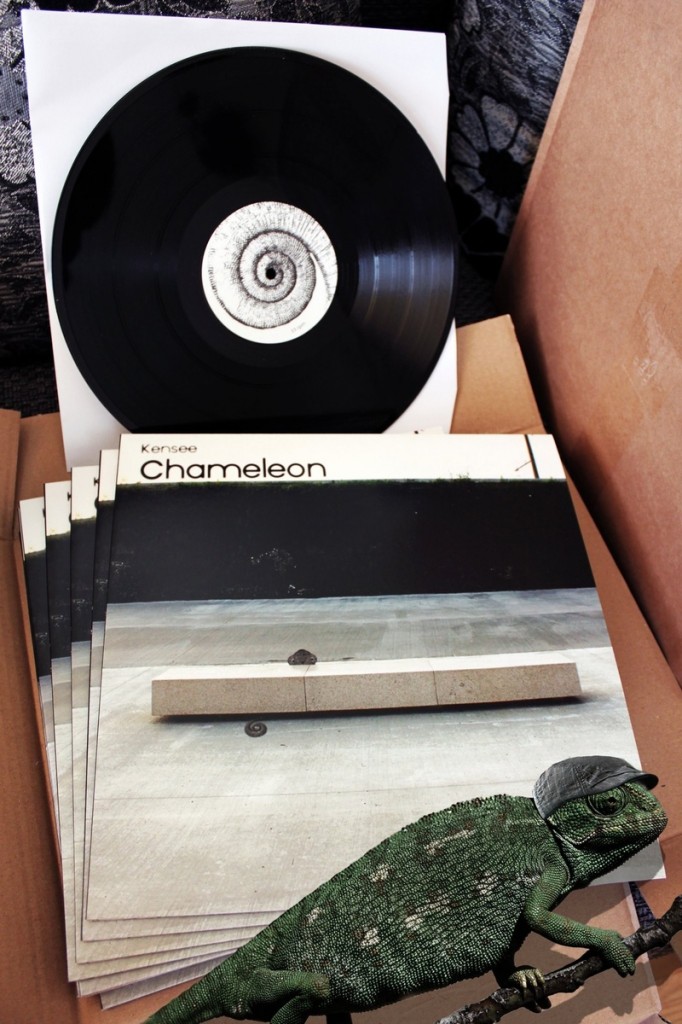 Vinyl Edition